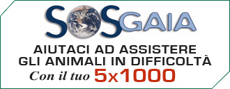Aiuta SosGaia con il tuo 5x1000
