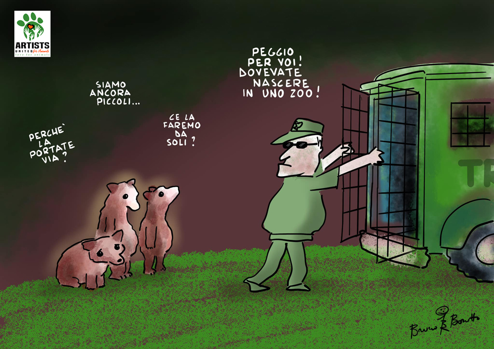 La vignetta di Bruno Bozzetto - SALVIAMO GLI ORSI DEL TRENTINO