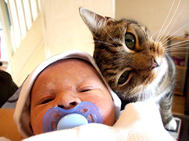 I bimbi cresciuti coi gatti si ammalano di meno