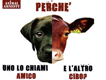 Un ricettario vegan per i cani