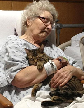 Un’anziana in ospedale con un’anca rotta. Ogni giorno riceve la visita del suo gatto Vincent che rimane con lei abbracciandola