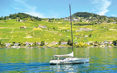 I vigneti di Lavaux visti dal lago Lemano