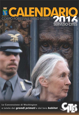 Il Calendario 2016 del Servizio CITES del Corpo Forestale dello Stato, quest’anno interamente dedicato alle Grandi Scimmie e all’impegno del Jane Goodall Institute