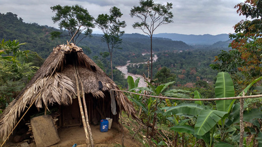 A traditional U'wa hut above the Cobaria River in the eastern cloud forests of the U'wa resguardo, on the border of Venezuela. Photo: Jake Ling