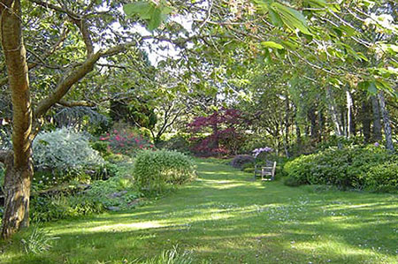  L'antico sciamanesimo druidico si riferiva alla spiritualità del "giardino druidico", il Gala Druji"come tempio nella natura, in cui la magia e la poesia delle piante portavano ad incontrasi con i druidi nella sinfonia mistica di Madre Terra