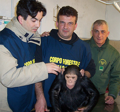 Marco Fiori (al centro) ha coordinato l’operazione di sequestro degli scimpanzé ora ospitati presso il Parco Natura Viva di Bussolengo (Verona)