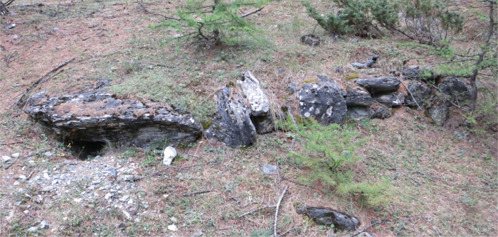 Il tumulus che affiora in superficie