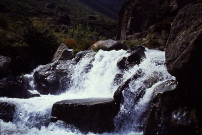 Tratto del torrente presso l'alpe Sea 