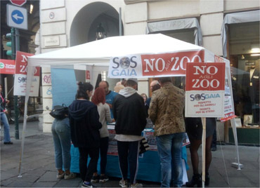  I gazebo per la petizione che ha raccolto più di 7mila firme cartacee di cittadini torinesi 