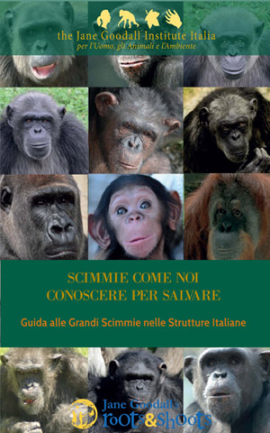 La guida alle grandi scimmie “Scimmie come noi, conoscere per salvare” edita da The Jane Godall Institute Italia che ha pubblicato l’articolo di Rosalba Nattero, qui in versione integrale