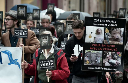 Una manifestazione del movimento Vegan in Francia