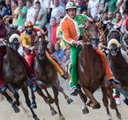 Il Palio di Siena quasi ogni anno miete vittime tra i cavalli. Dal 1975 ad oggi ne sono morti già 51.