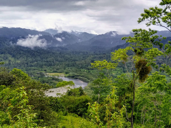 We are nature’s best guardians, not the state