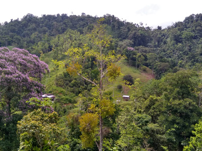  Around the Naso communities, there is a wealth of biodiversity 