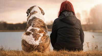 A volte sembra che solo gli animali ci comprendano…