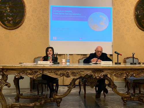 Enrico Moriconi presenta la relazione delle attività del Garante Diritti Animali del 2019 al Consiglio Regionale del Piemonte nell’ambito del Convegno “Tutela a quattro zampe. Fare rete per gli animali”. Il convegno è stato una occasione di confronto con le associazioni del volontariato animalista. Ha moderato l’incontro Rosalba Nattero