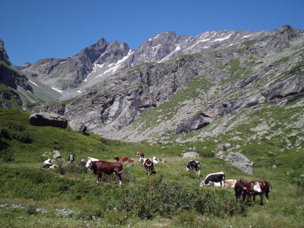 Inverso del GiasNuovo, con cime Piatou e Francesetti