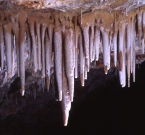 Cortina stalattitica nelle grotte di Borgio Verezzi
