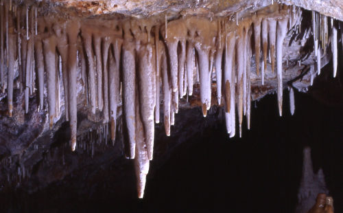 Cortina stalattitica nelle grotte di Borgio Verezzi