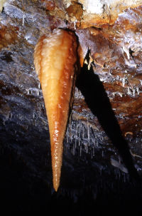 Grotte di Borgio Verezzi: stalattite con idrossidi di ferro