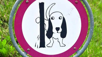 La pipì del cane sul muro del palazzo