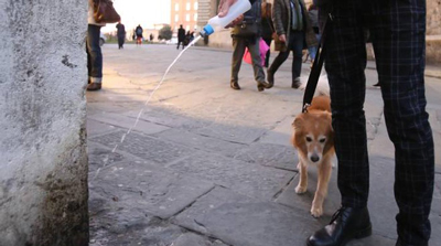 La pipì del cane sul muro del palazzo