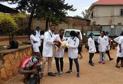 The Uganda SPCA Haven animal shelter hosts groups of students as part of their Humane Education Program. These students are second year vet students at Makerere University. In the past, vets students were more interested in working with livestock than with dogs and cats--and many had no interest in small animals. That is changing, as is the attitude toward cats and dogs, as you can see in this picture.  