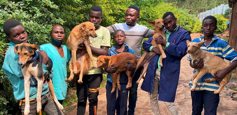 Volunteers from the shelter