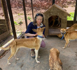 Karen Menczer avec quelques chiens qui viennent d'arriver au refuge