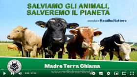 Salviamo gli animali, salveremo il pianeta