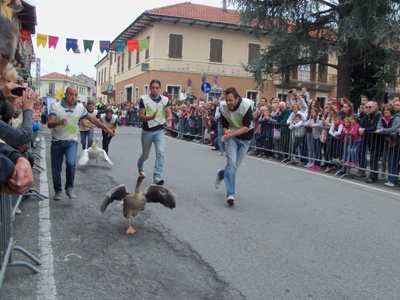 Il palio delle oche