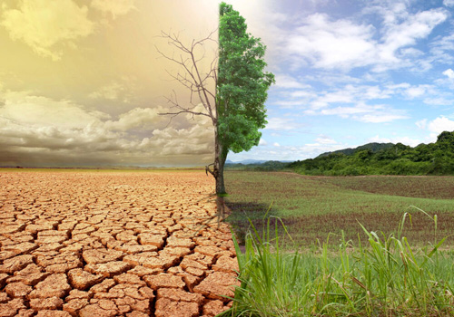 Gli effetti della desertificazione