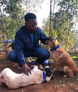 Paterne con alcuni cani del rifugio “Sauvons nos Animaux”