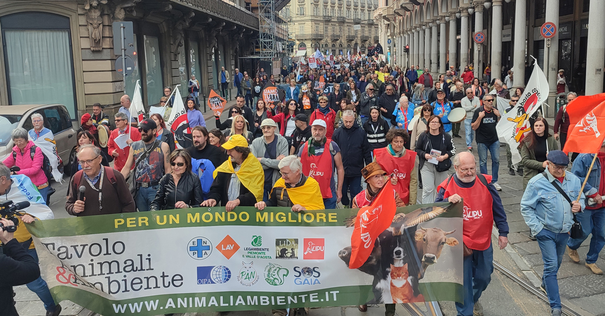 Il corteo con migliaia di persone nel cuore di Torino