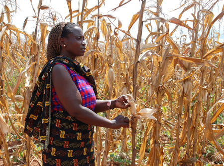 Cambiamenti climatici in Benin