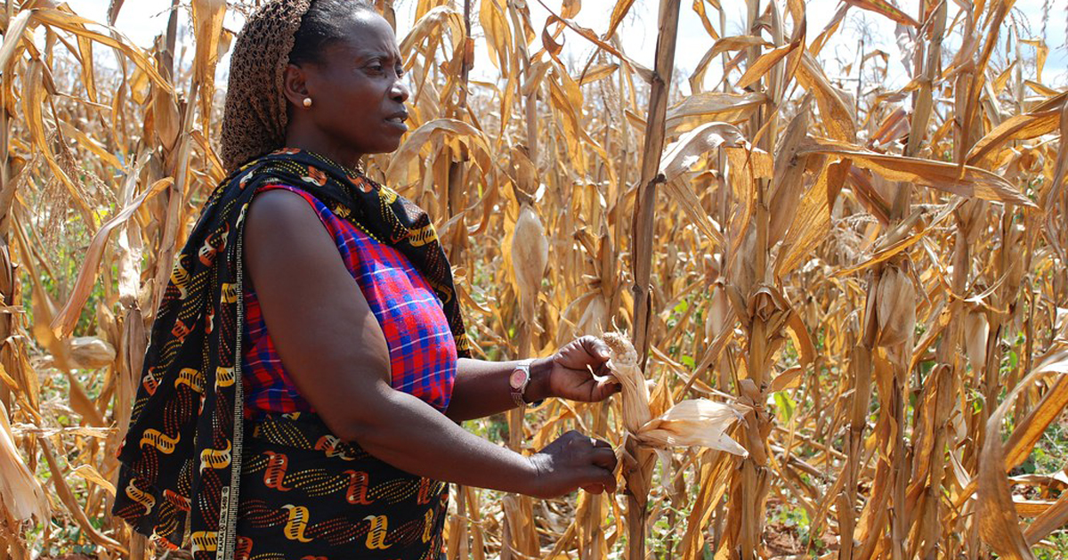 Les changements climatiques au Bénin