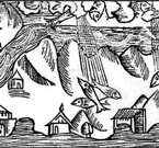 Pioggia di Pesci - Incisione da Olaus Magnus 1555