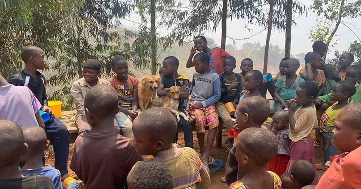 The Animal-Friendly children's camp, where respect for animals is taught