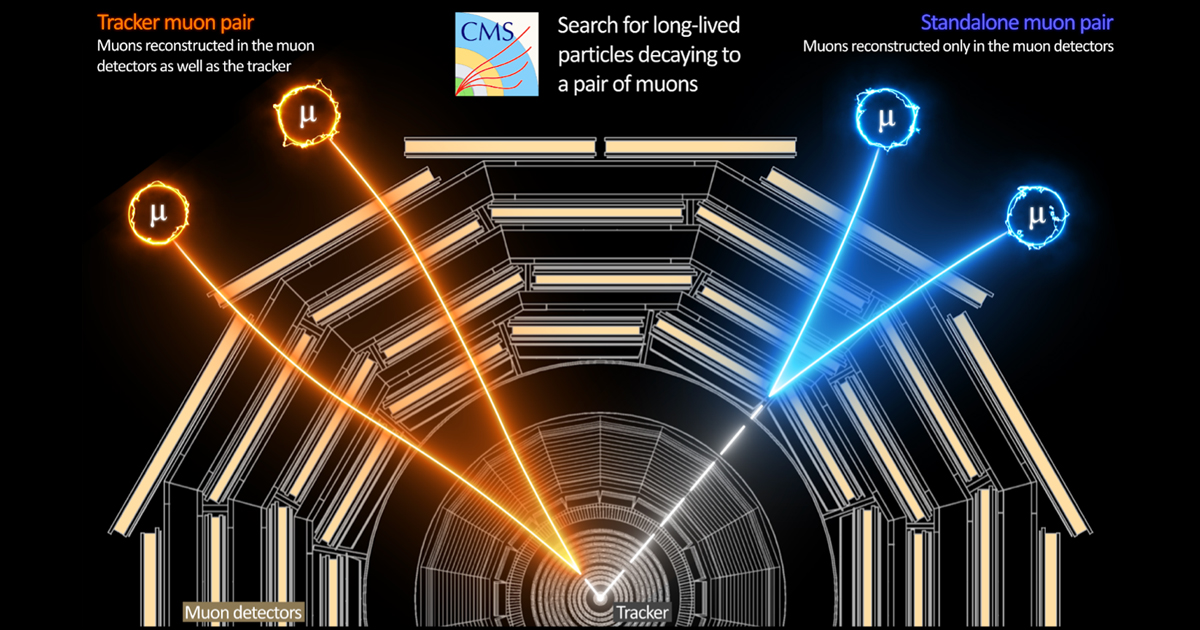 Représentation graphique de deux types de particules à vie longue se désintégrant en paires de muons ; les signaux correspondant aux muons peuvent être associés au point où la particule à vie longue s'est désintégrée, à l’aide des données provenant du trajectographe et des détecteurs de muons. (Image : CMS/CERN)