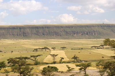 Great Rift Valley o Grande fossa tettonica, la più grande del mondo, si estende per 6000 chilometri in direzione nord-sud, nel sud-ovest del Medio Oriente fino alla Siria e nell’est africano fino al Sudafrica. E’ larga dai 30 ai 100 chilometri ed infine è profonda da qualche centinaio di metri a parecchie migliaia. Nella foto la grande scarpata di faglia presso la valle del Golja in Etiopia