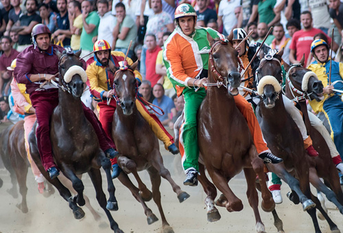 Il Palio di Siena quasi ogni anno miete vittime tra i cavalli. Dal 1975 ad oggi ne sono morti già 51.