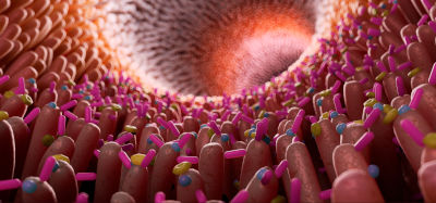 Il complesso sistema costituito dal microbiota intestinale è influenzato dal tipo di alimentazione